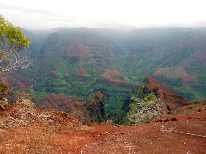 Waimea Canyon 1